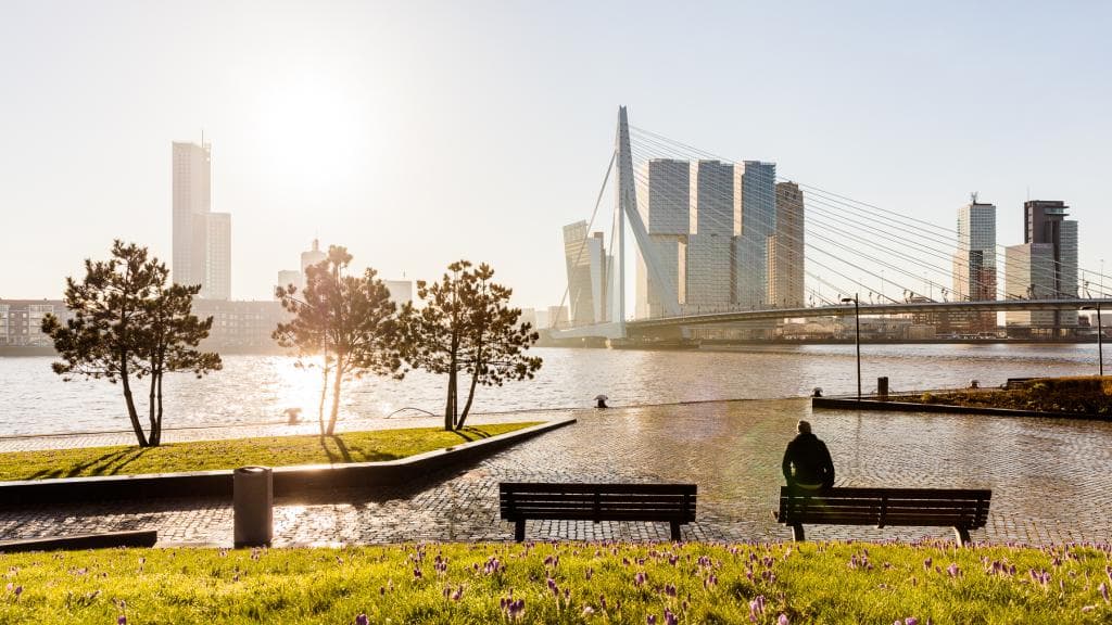 Lente in Rotterdam. Iemand zit op een bankje met de skyline van Rotterdam in een zacht zonnetje op de achtergrond. Foto: Guido Pijper